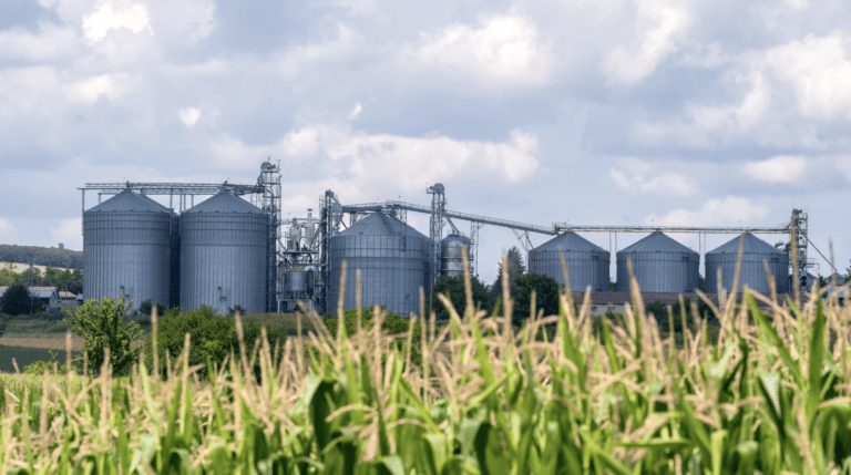 Grain Silo Moisture Measurement in Thailand - Flutech Co., Ltd.